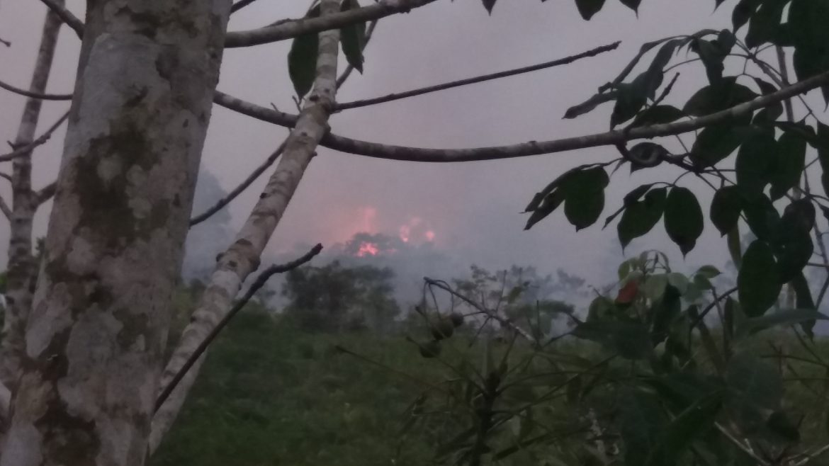 Titik Api Muncul di Desa Mekar Baru