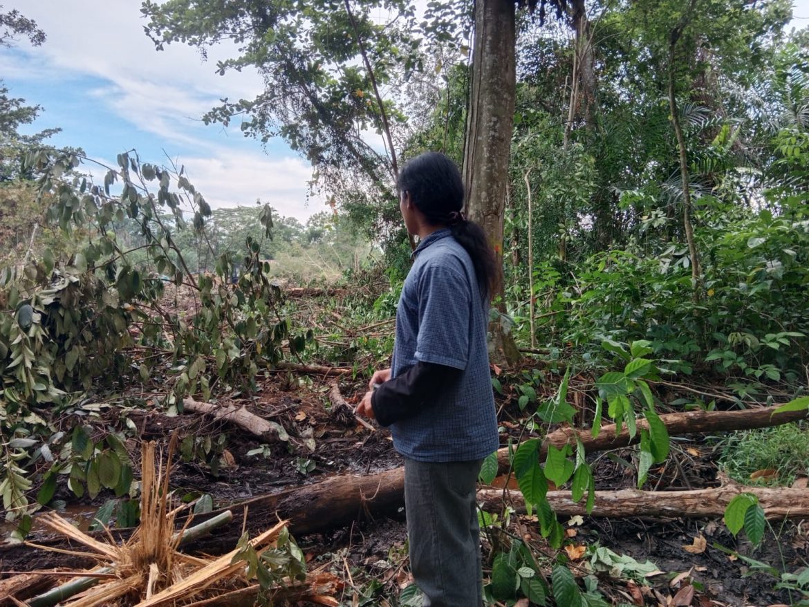 Hutan Dirambah Tak Sesuai Kesepakatan